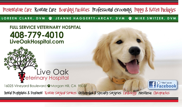 Live Oak Vet - Morgan Hill Life