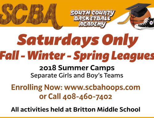 South County Basketball Academy