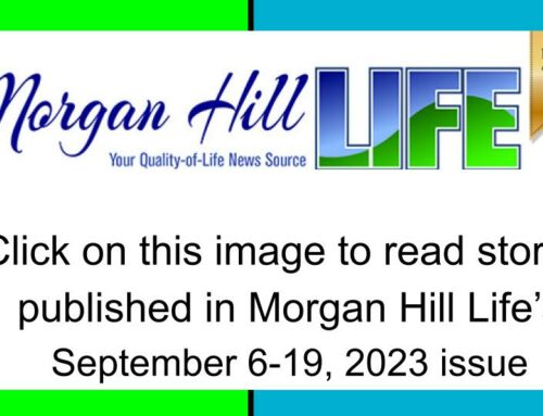 Archive September 6-19, 2023 issue of Morgan Hill Life