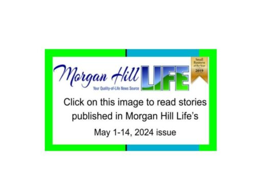 Archive May 1 – 14, 2024 Morgan Hill Life
