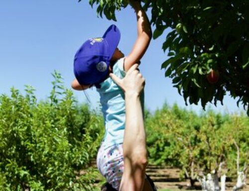 Take a Hike … with Mike Monroe: Andy’s Orchard welcomes local visitors for tours and fruit tastings