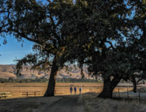 Editorial: OSA’s Coyote Valley preserve moves to inclusivity in nature