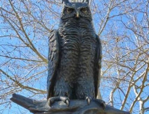 Loki, statue of owl honoring WERC, stolen from perch